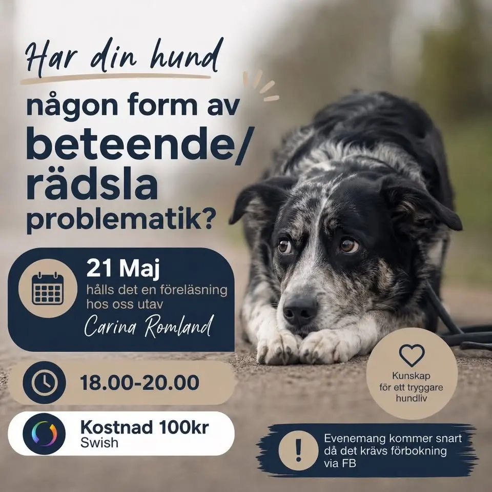 Föreläsning rädsla och beteende problematik 