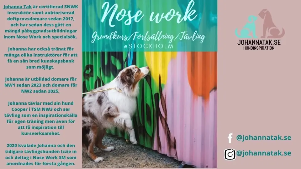 NOSE WORK - STEG 1 GRUND - Inomhus & utomhus SKEPPSHOLMEN