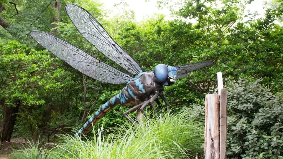 Bug Day at PGA Frisco