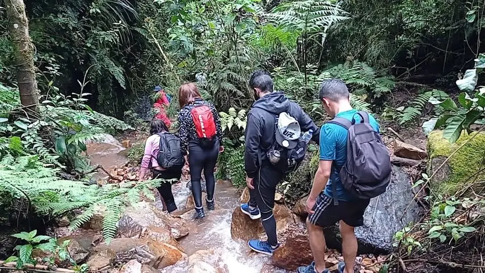 CAMINATA ECOLOGICA EN LA RUTA DEL AGUA