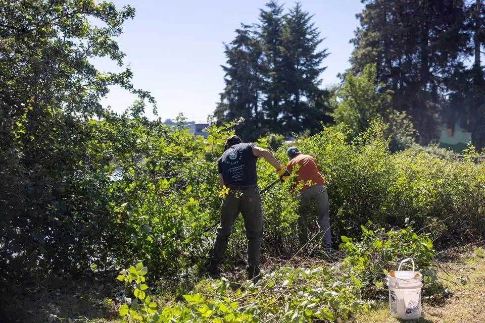 Duwamish Waterway Park / Spruce