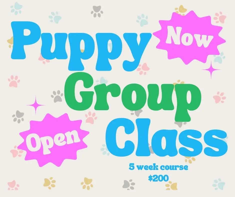5 Week Puppy Group Class