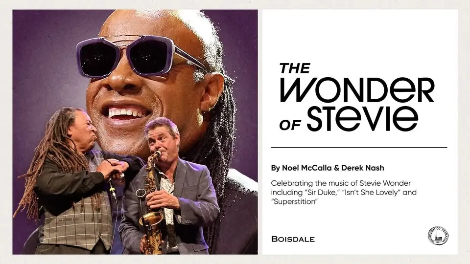 The Wonder of Stevie