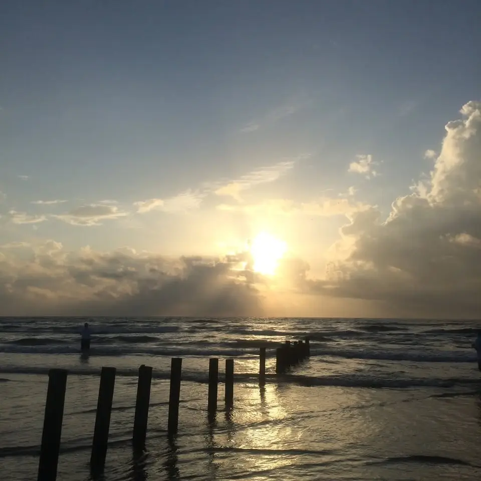 Reel Deal Fishing Charters Beach Clean - UP