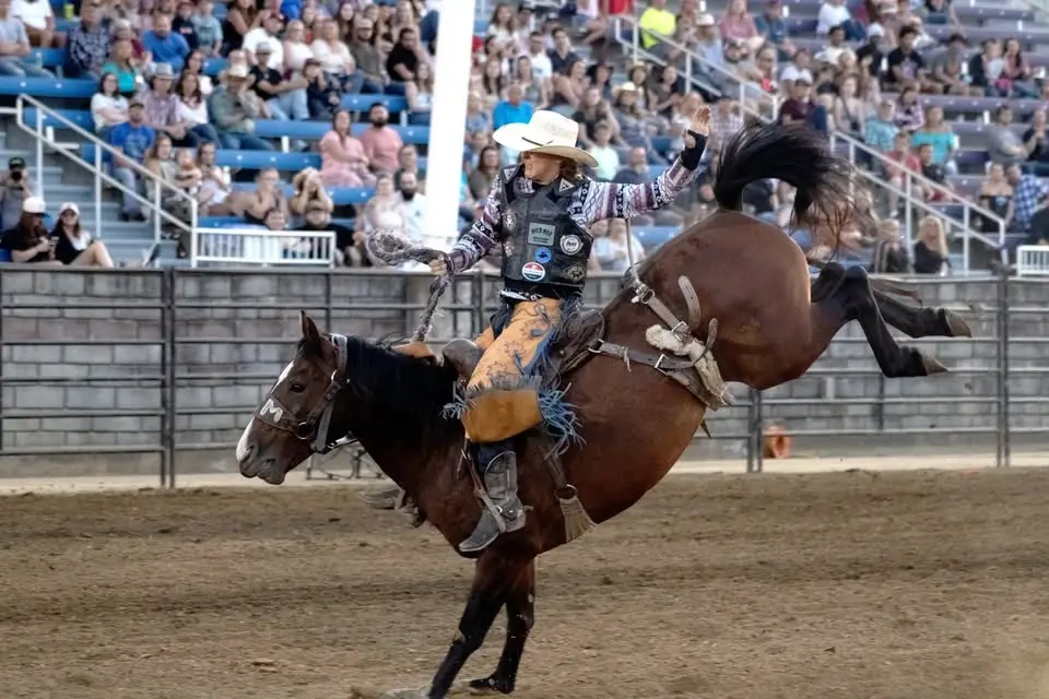 Rodeo