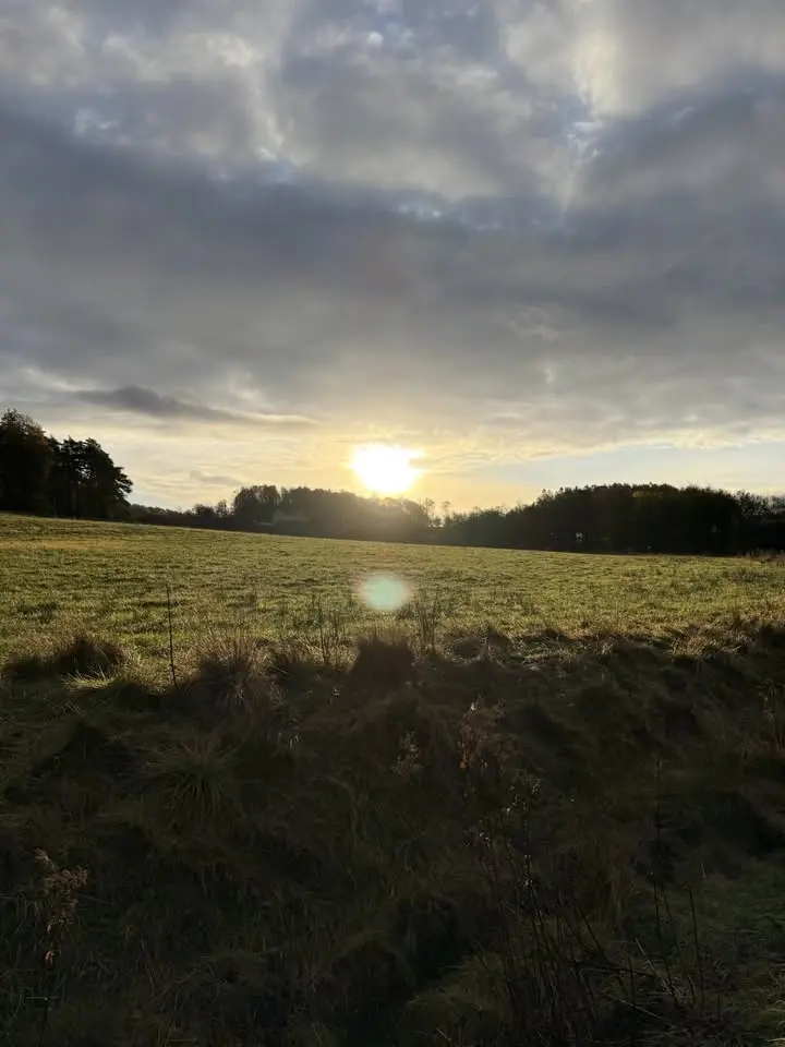 Guidad tur bland gårdens djur