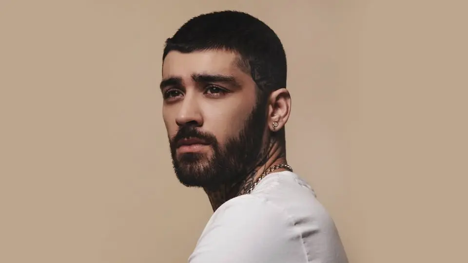 Zayn — Anaheim