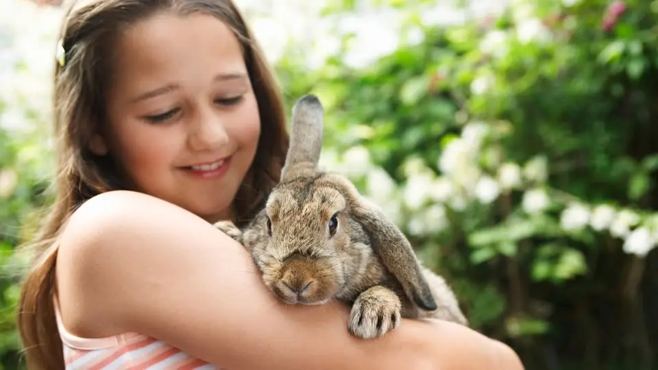 🐇Petting Zoo Summer Final Party🐇