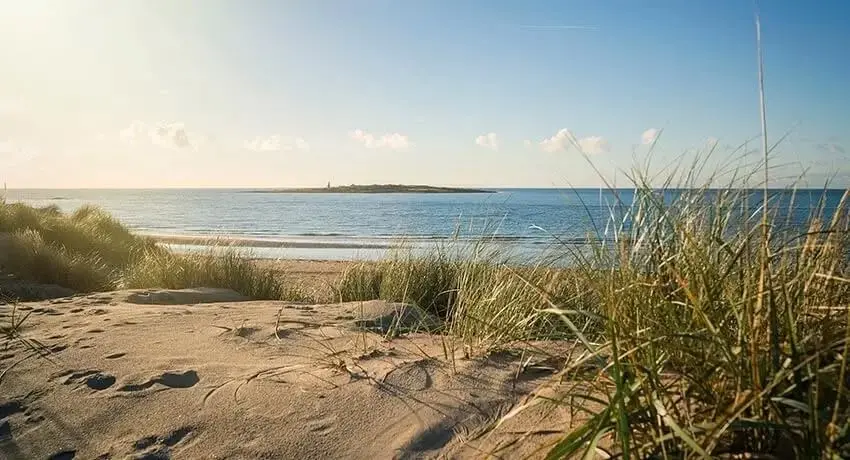 Beach SM mixed 2026