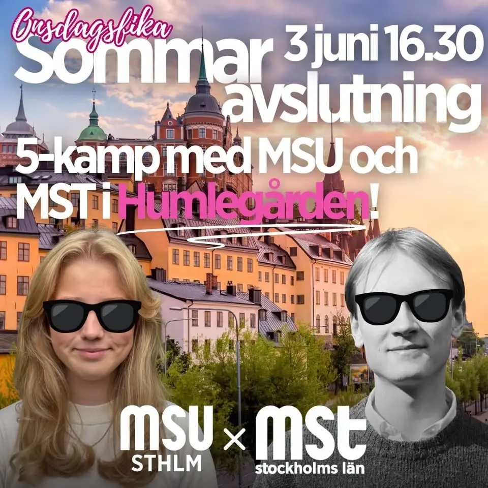 Sommaravsluting med MST Stockholm!