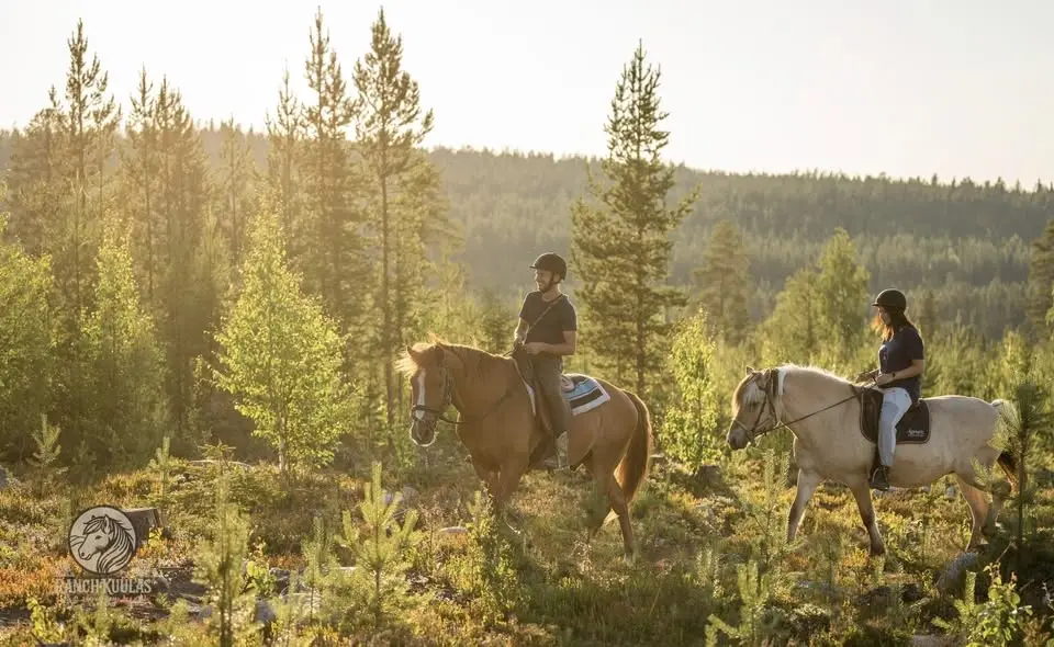 Lapland slow retreat with Horses