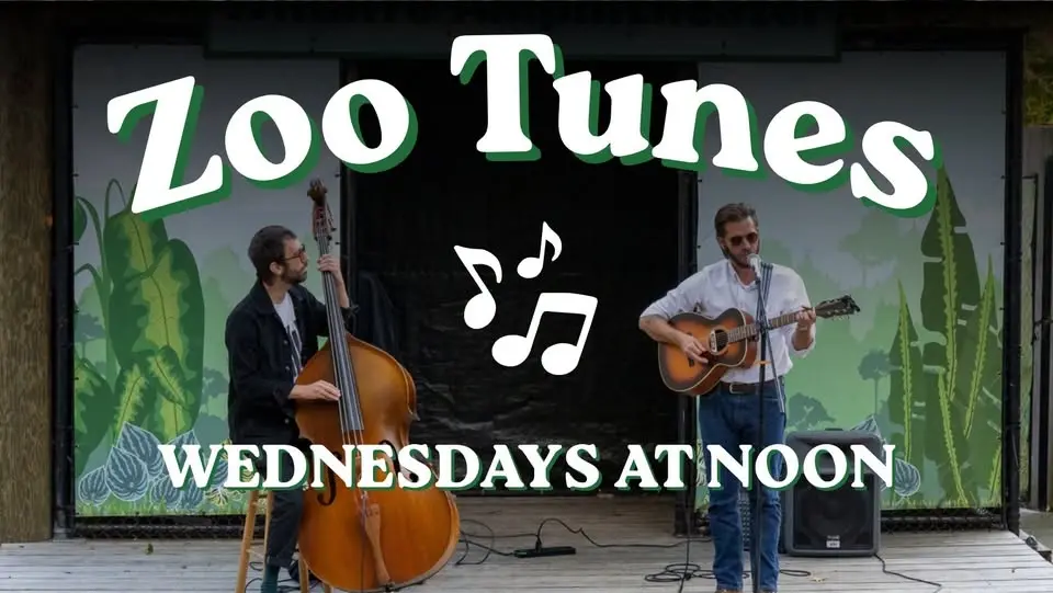 Zoo Tunes