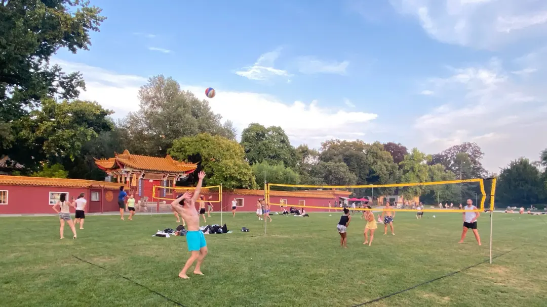 Volley on grass at Tunnelwiese ☀️ (For mixed level)