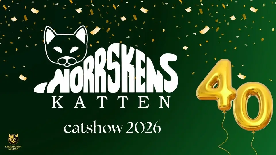 Norrskenskattens internationella kattutställning 2026