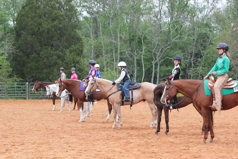 2026 TEC All-breed Horse Show