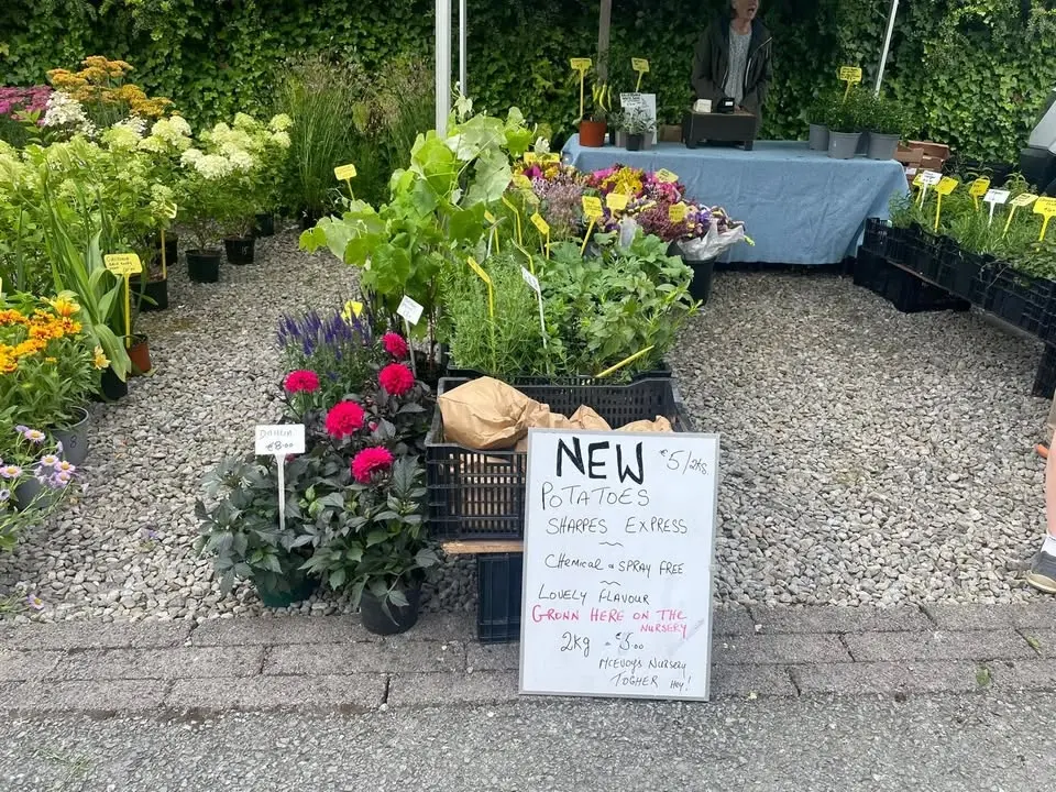 Farmer's Market (Sunday 6 September @10am-2pm)
