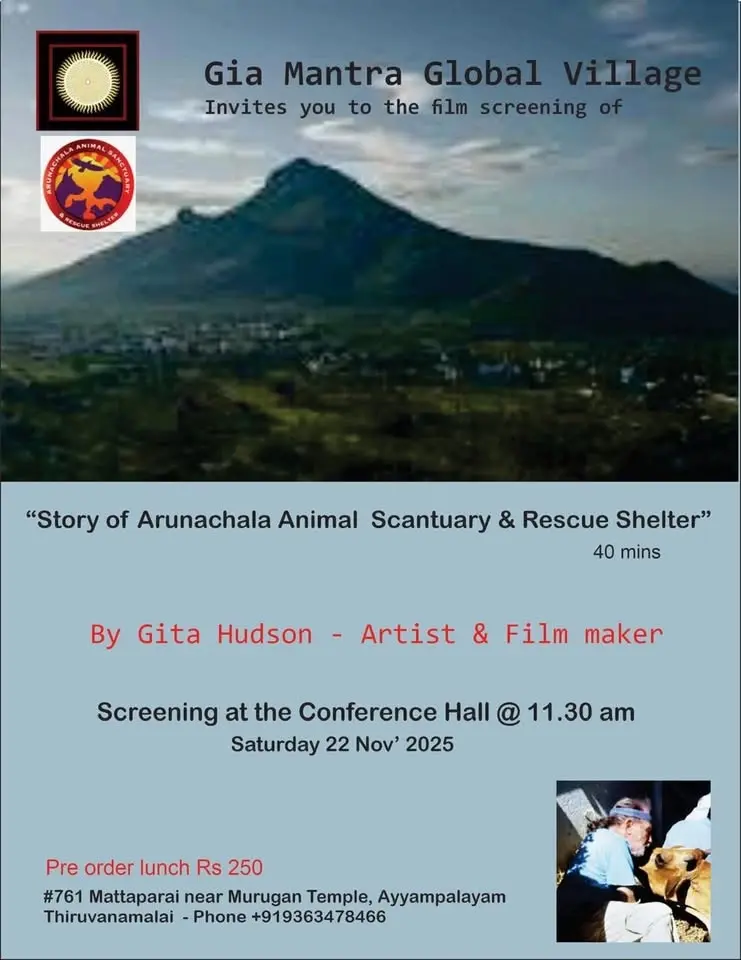 Story of Arunachala Animal Shelter and Rescue Sanctuary. 