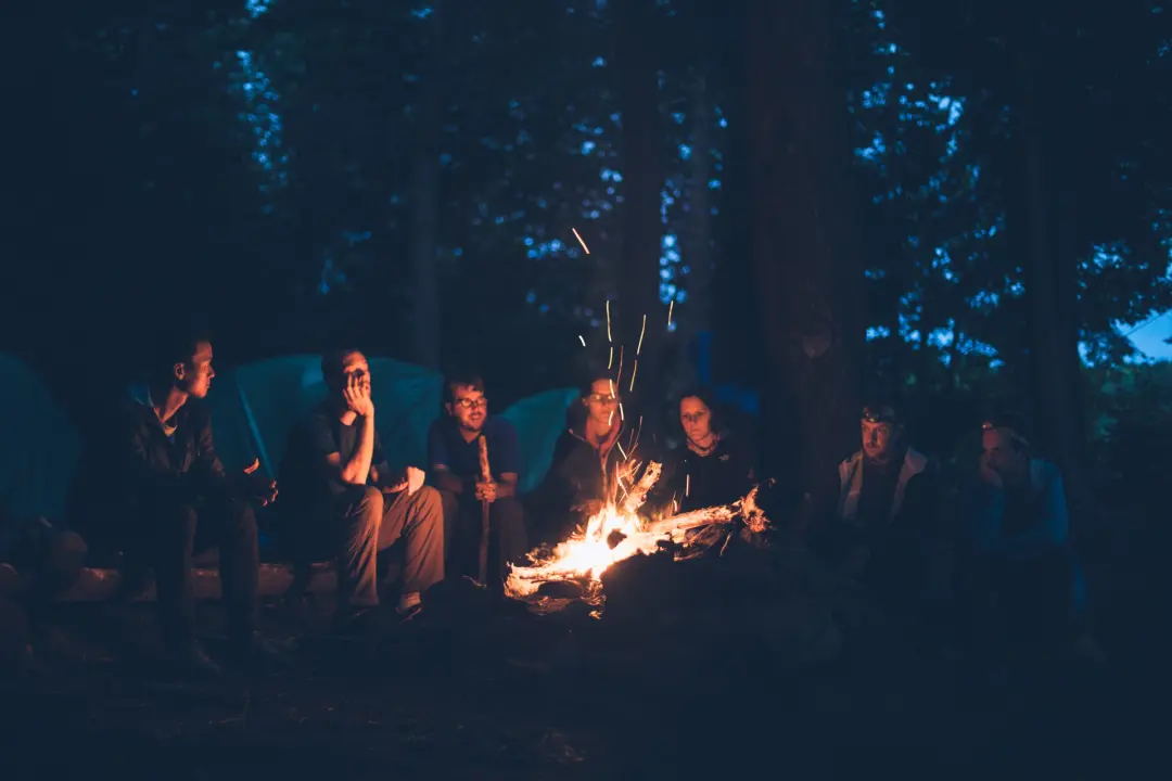 Do We Choose Our Partners Rationally or Emotionally?