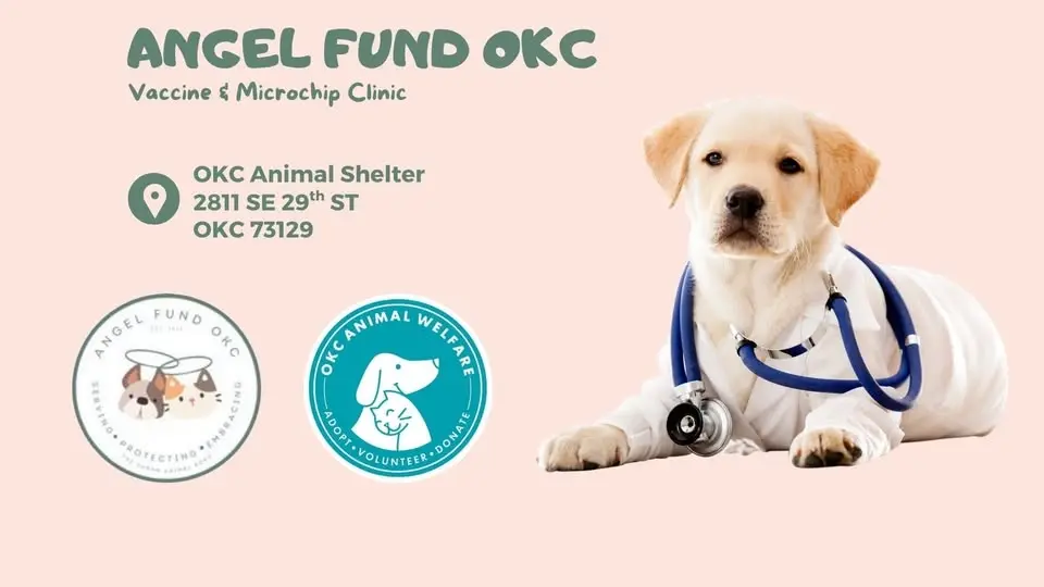 Low Cost Vaccine & Microchipping Clinic