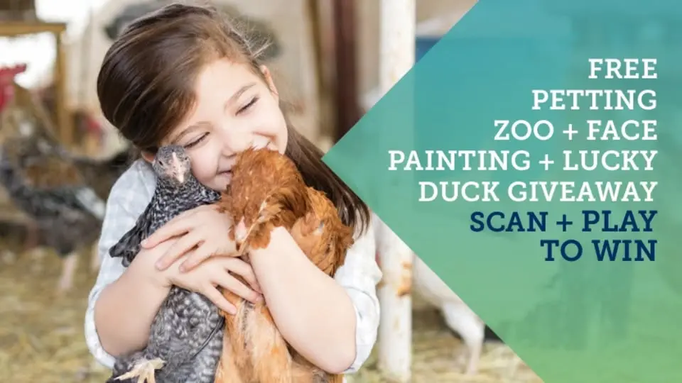 Lucky Duck KindiFarm!