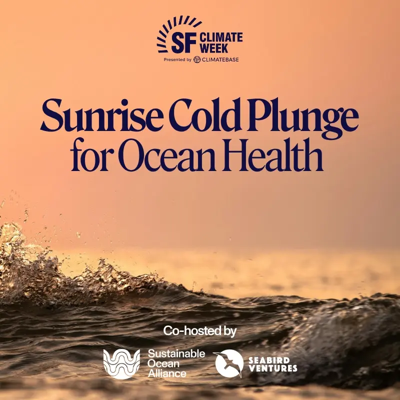 Sunrise Cold Plunge for Ocean Health