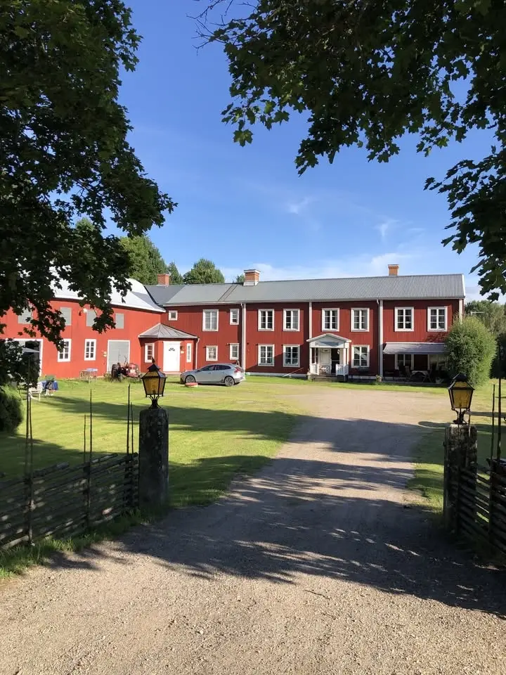 Yogadag i Hög på Sommarsolståndet