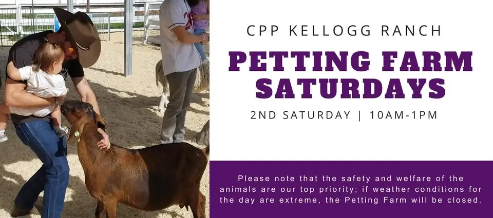 Petting Fram Saturday