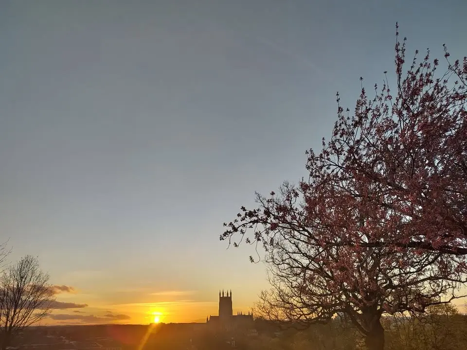 Winter Solstice 