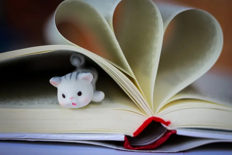 2nd Sunday Silent Book Club - Moonstone 