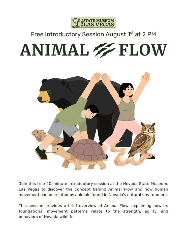 Animal Flow: Introductory Session
