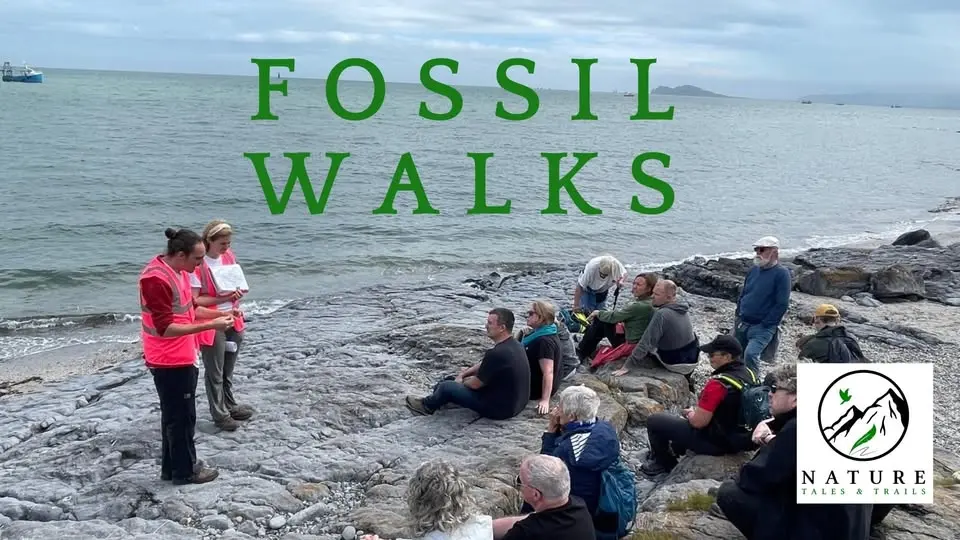 Fossil Walks, Dublin Coastline, Heritage Week
