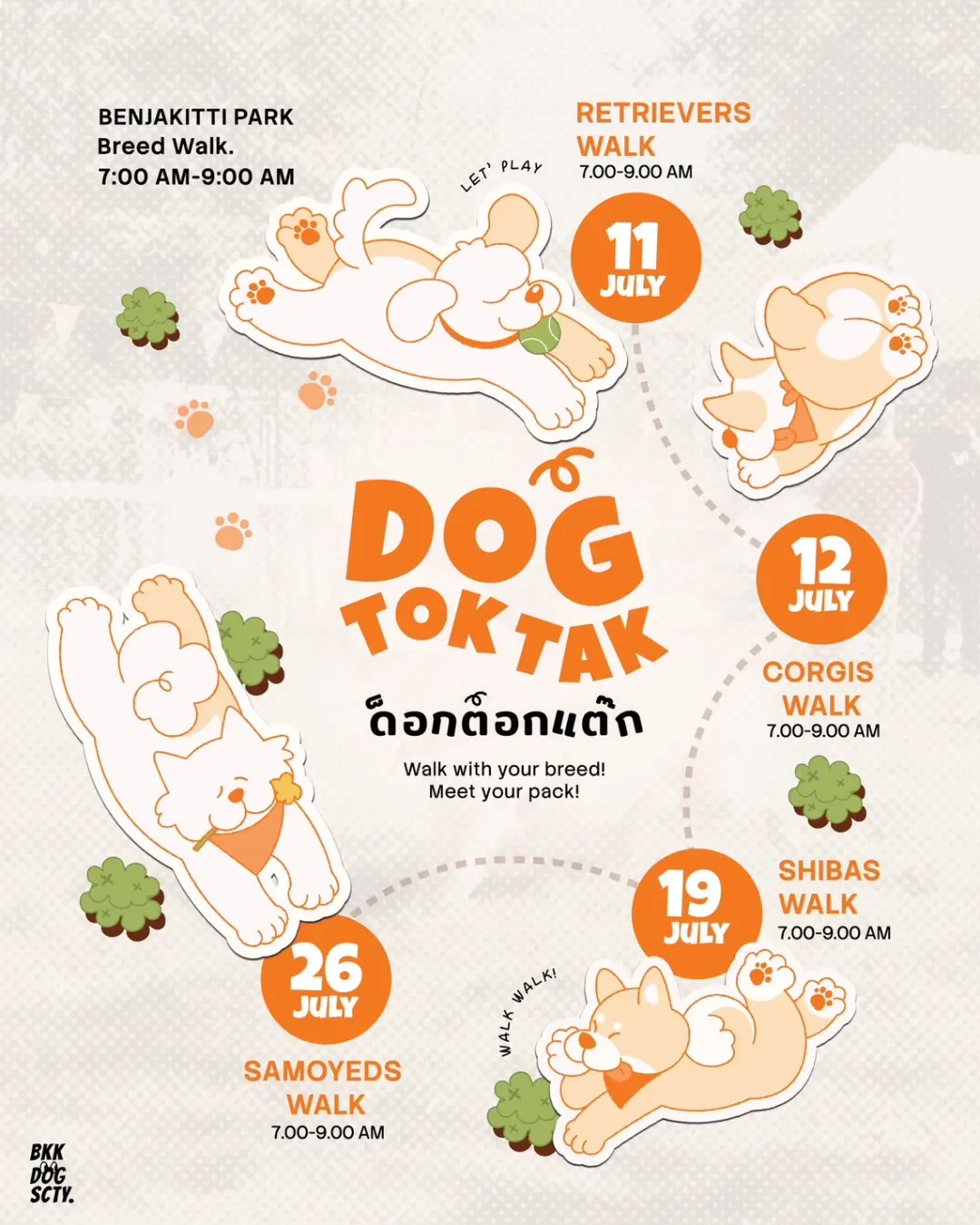 DOG TOKTAK: Samoyeds Walk