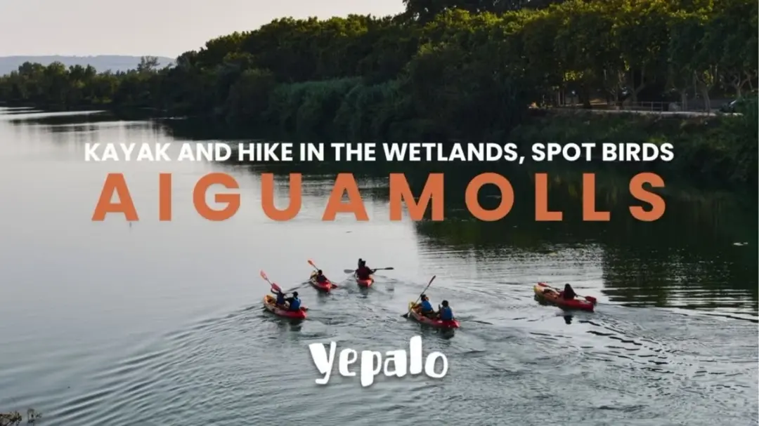 🛶🥾🌴 Kayak y senderismo en Aiguamolls de l’Empordà /KAYAK + HIKE + WILDLIFE