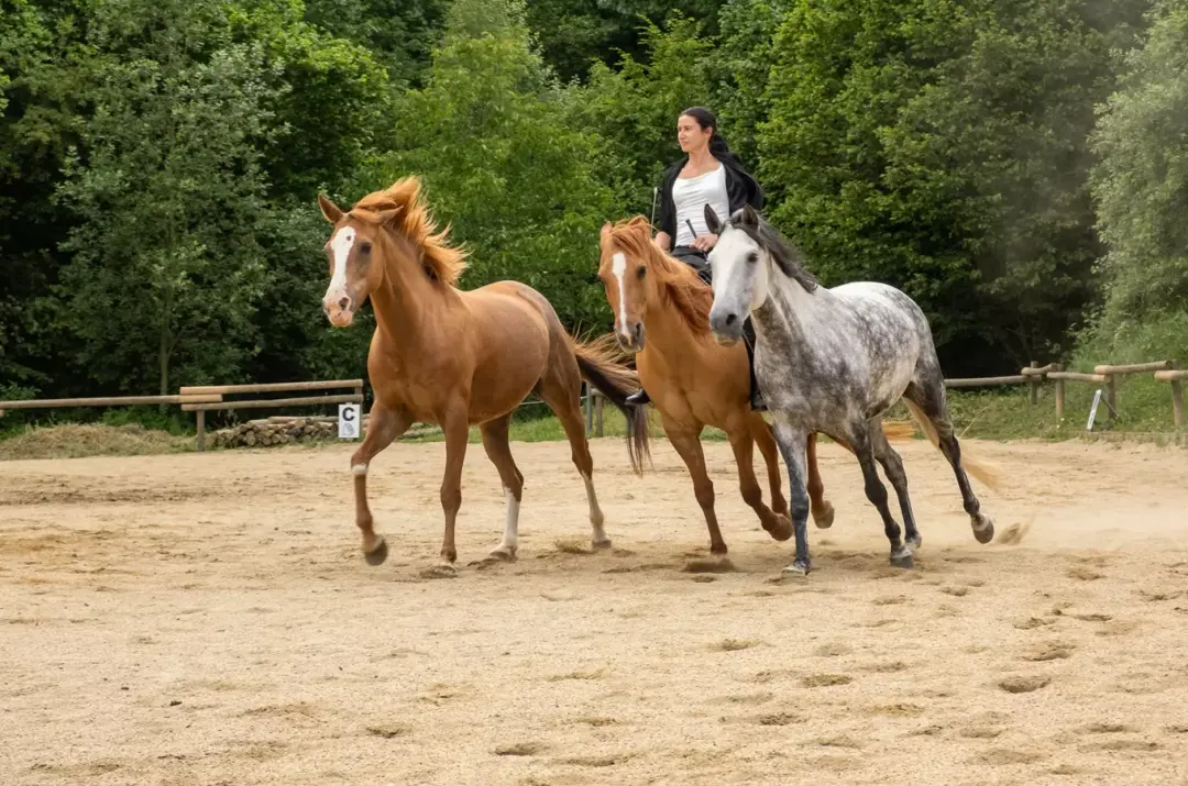 Den otevřených dveří v Ryzáčku