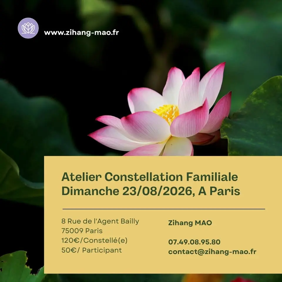 Atelier de Constellations Familiales à Paris – Séances individuelles également disponibles sur RDV