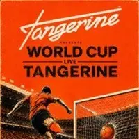 World Cup at Tangerine: England V France