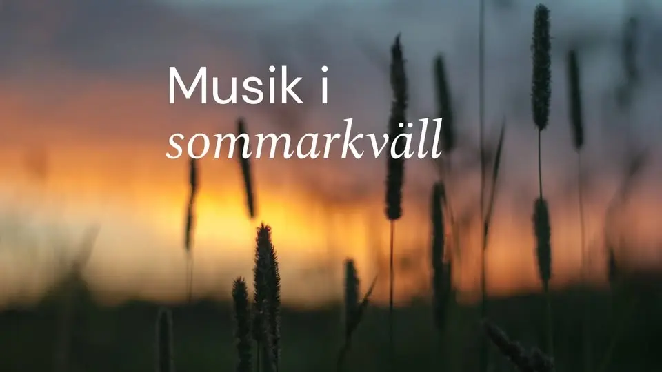 Musik i sommarkväll