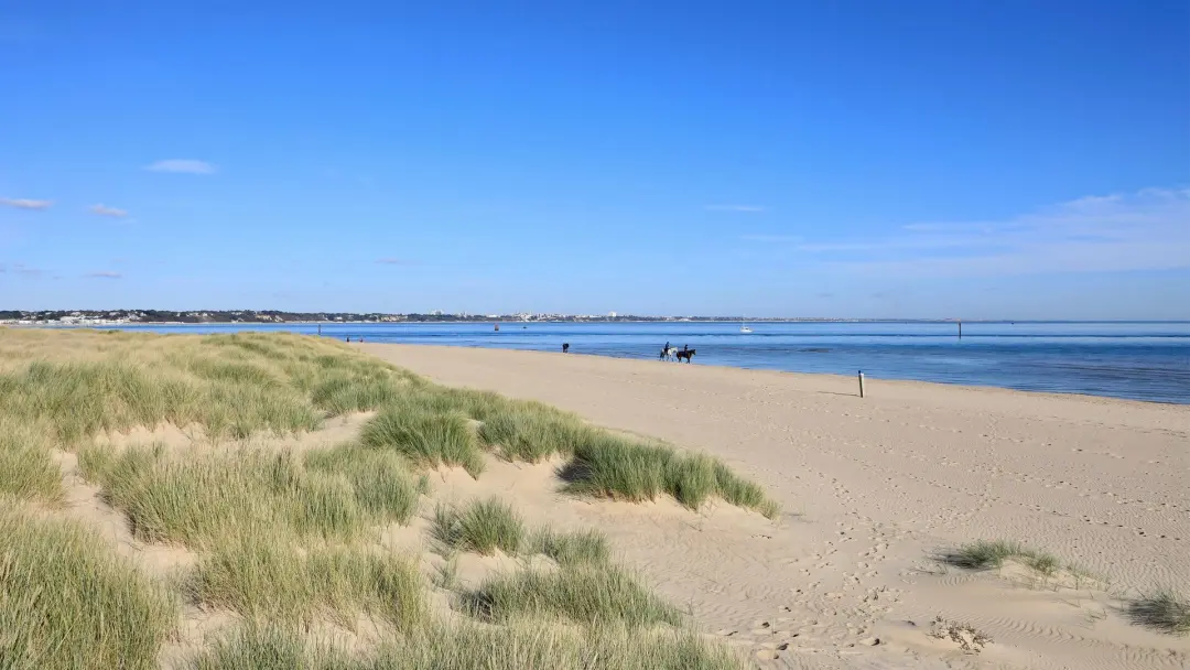 🏖️ Пляжи Сандбэнкс