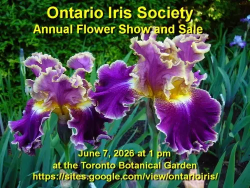Ontario Iris Society Show and Sale