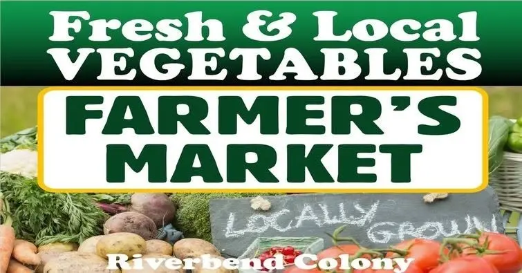 🥕🥬 Our vegetables at the Riverbend Hutterite Colony Farmers Market