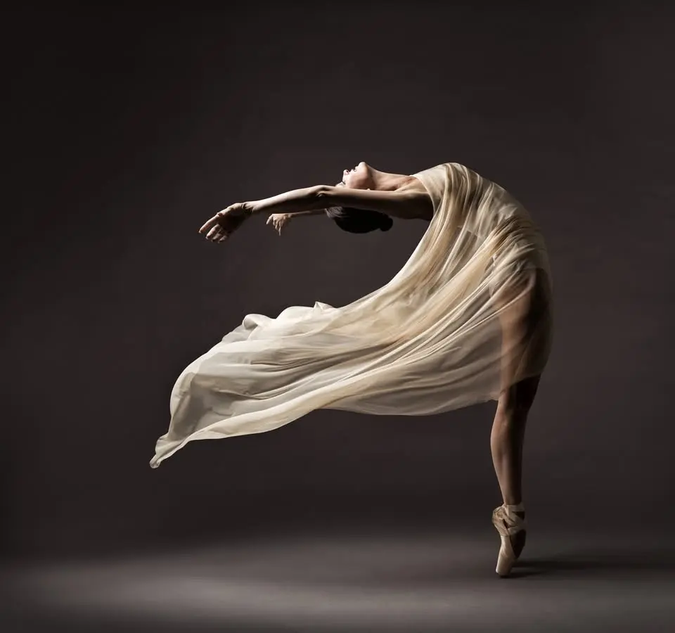 The Pelvic Diaphragm by Julie Hammond
