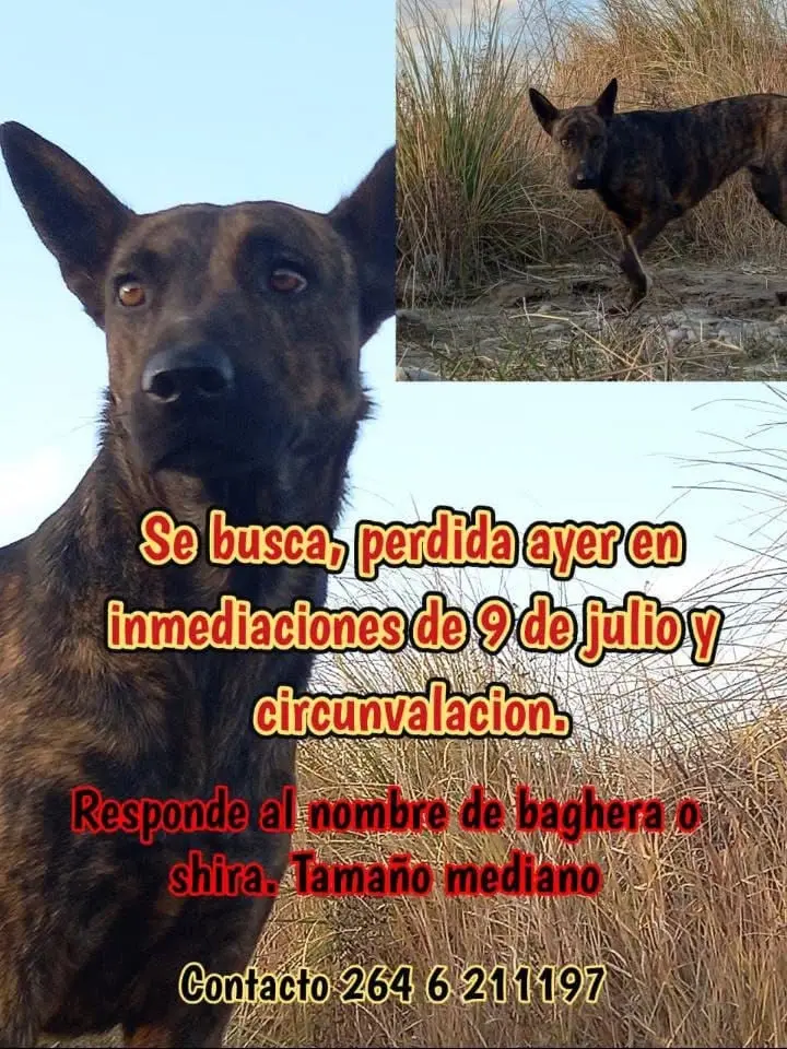 agradezco difusión!!! al 2645609717