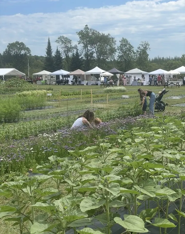 Bloomfest 2026