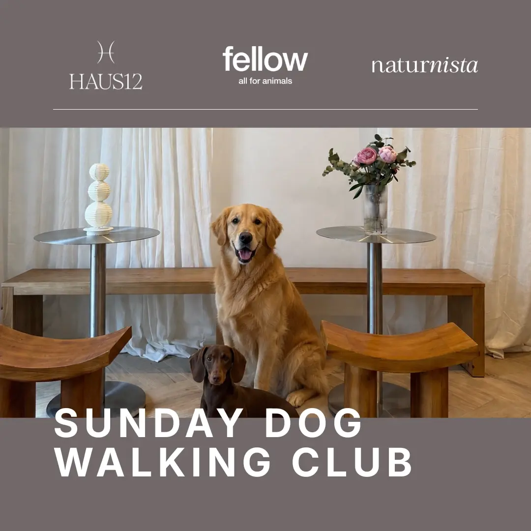 Sunday Dog Walking Club