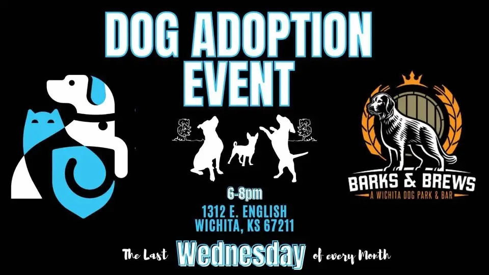 Meet WAAL adoptable dogs at Barks & Brews!