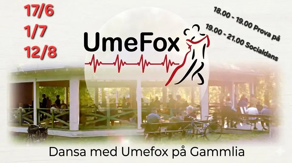 UmeFox dansar på Gammlia