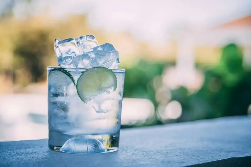 MASTERCLASS: Gins & Tonics with Stephen Beaumont