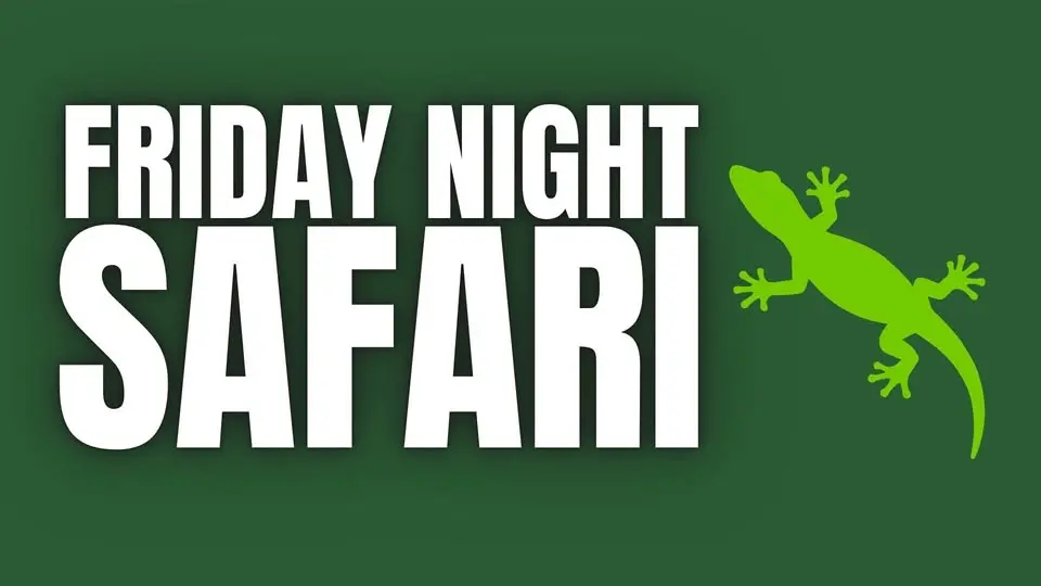 Friday Night Safari