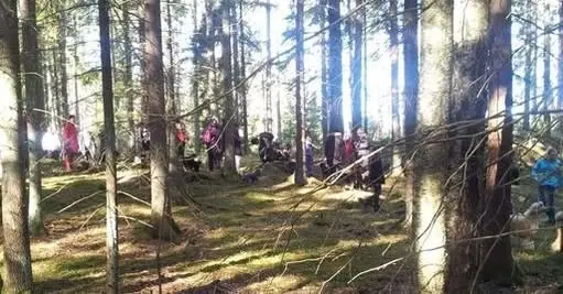 Pudelpromenad i Ängsjö