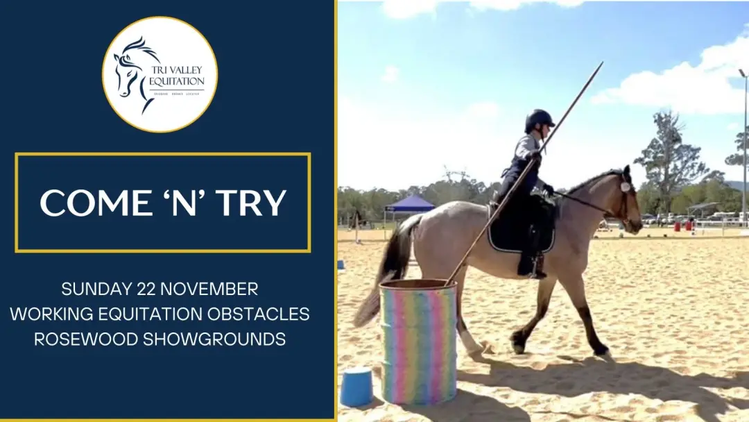 TVE COME 'N' TRY DAY